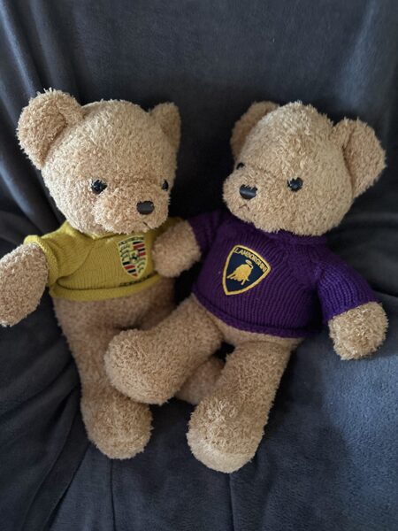 Plīša lacis ar džemperi, izmērs 45 cm