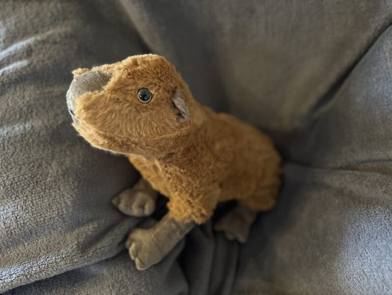 Mīkstā manta "Kapibara", mazā, cena 28 cm