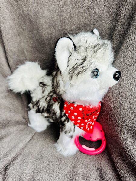 Interaktīvs staigājošš sunš Haskijs